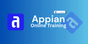 appian training in hyderbad