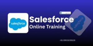 Salesforce Training in Hyderabad