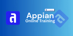 appian training in hyderbad
