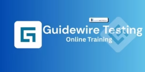 Guidewire Testing Training in Hyderabad