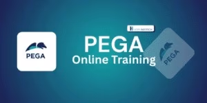 Pega Training in Hyderabad