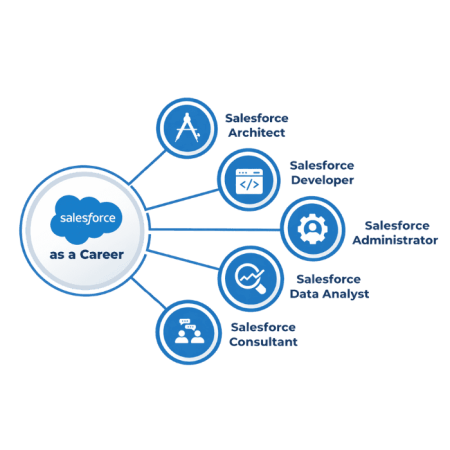 salesforce course (2)